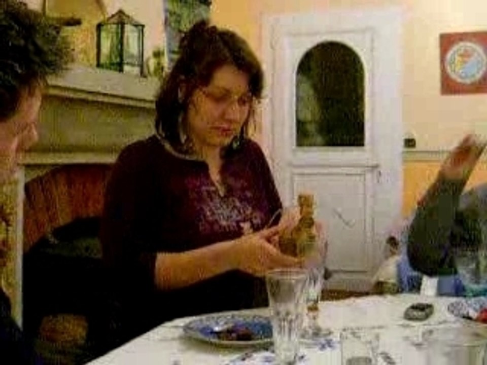 experience stef