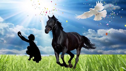 Lo Sai Come sconfiggere l'uomo pigna