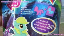 My Little Pony Surprise Bag Mini Figure Collection pony Flower Wishes toy Hasbro MLP