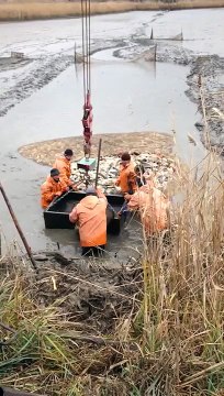 Вот так черпанули