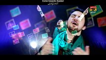 Nohay 2016 :: Haiyya Alal Aza- Syed Farhan Ali Waris - Official Video -