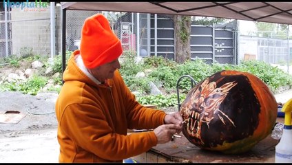 Jack O Lantern Spectacular At RI Roger Williams' Park Zoo