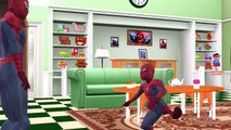 Spiderman Cartoons Finger Family Rhymes For Children And Johny Johny Yes Papa Nursery Rhym