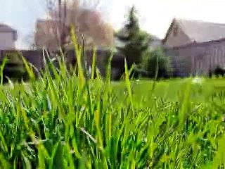 nashville north network mail bag