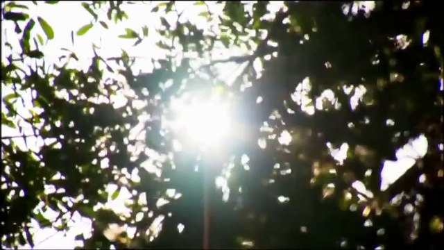 NOVA Evolution The Evolution Of Skin | Discovey Science Documentary HD