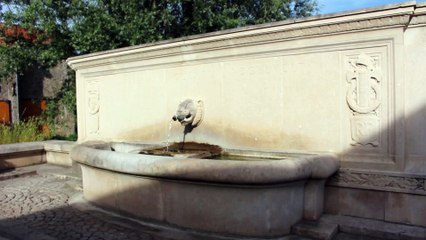 La Fontaine Roosevelt à Coulonges-Cohan 005