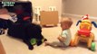 Bébés mignons jouant avec Chiens Labrador Chiens Amour Bébés Compilation [HD VIDEO]