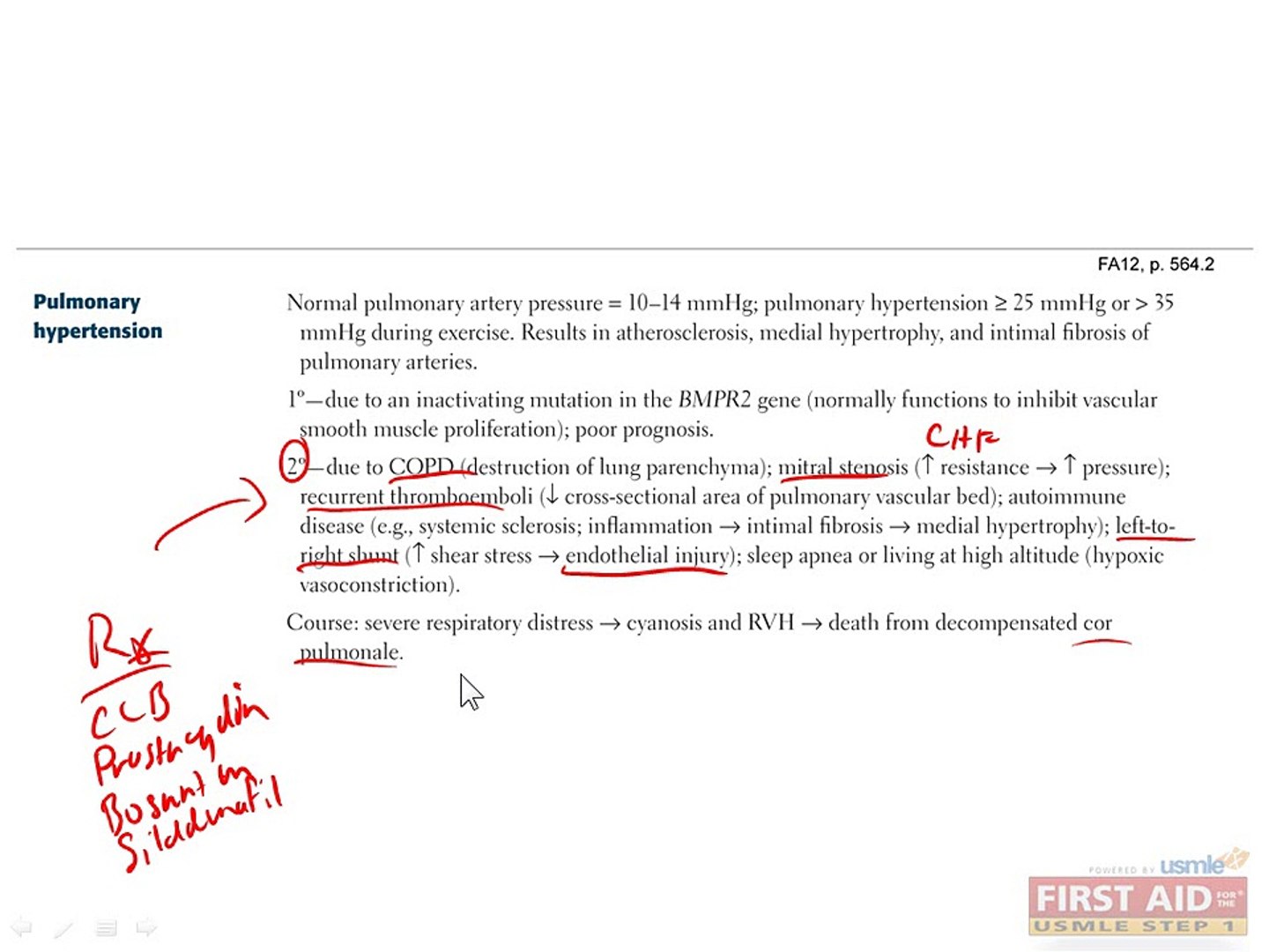 ⁣Respiratory Physiology Part 3
