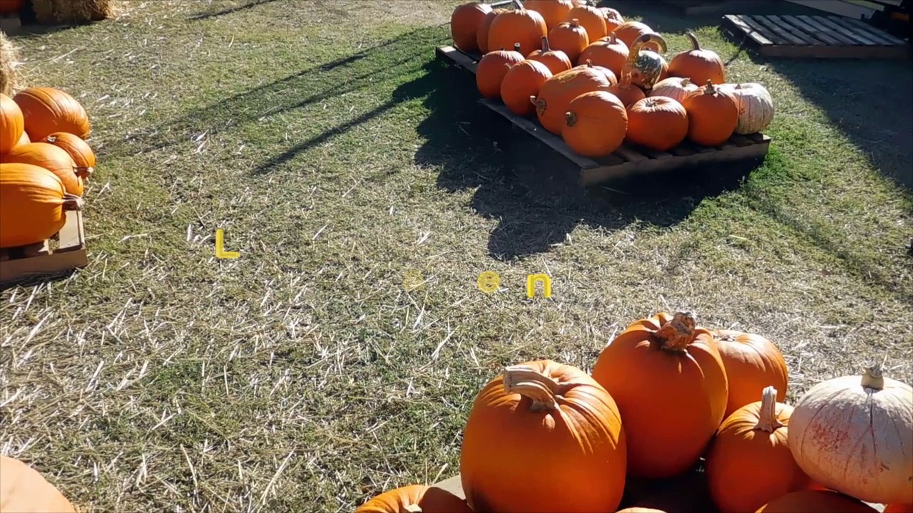 Looking For A Home In Tempe For Halloween