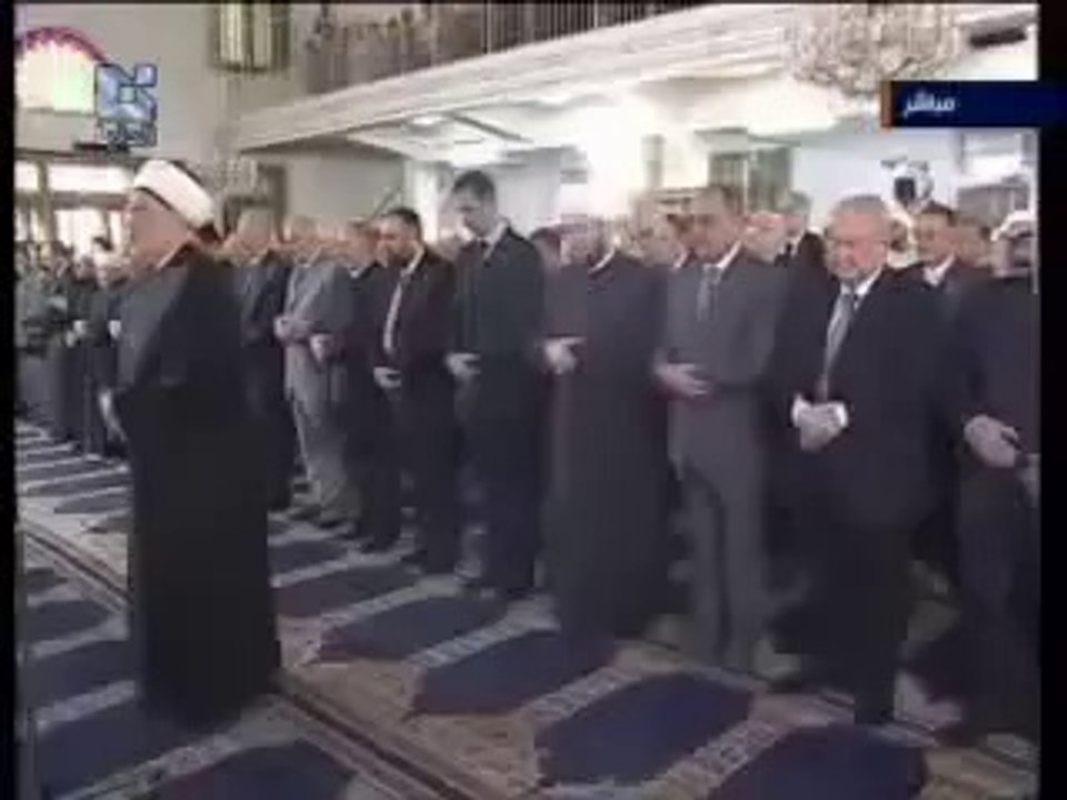 زمرة الأسد