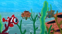 Kırmızı Balık | Kırmızı Balık Gölde | Kırmızı Balık Kaç Kaç | Bebek Şarkı