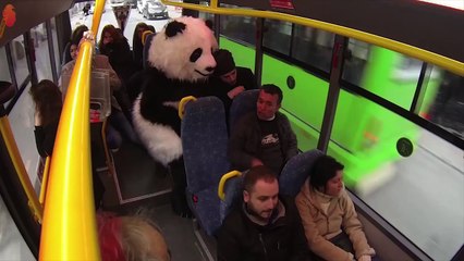 Hayrettin Şakaları HD