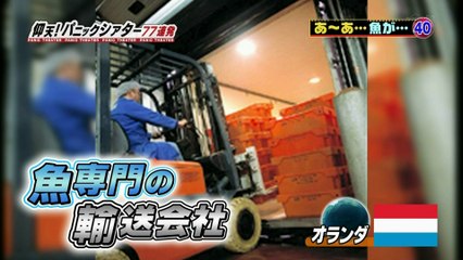 仰天パニックシアター　あ～あ・・・魚が・・・