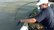 Acemi Balıkçıdan Dev Kedi Balığı Avı