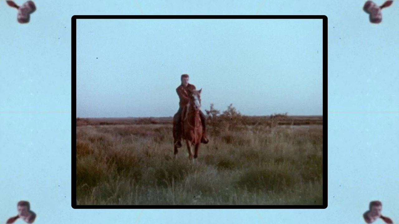 oTaiTi Johnny Hallyday 1963 Je Ne Danserai Plus Jamais (Version HD Remastérisé)