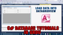 P(1) - C# Access Database Tutorials In Urdu - Load Data In DataGridView Control