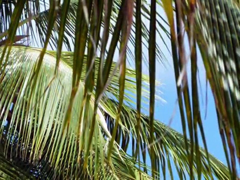 St Lawrence Beach Condos Barbados