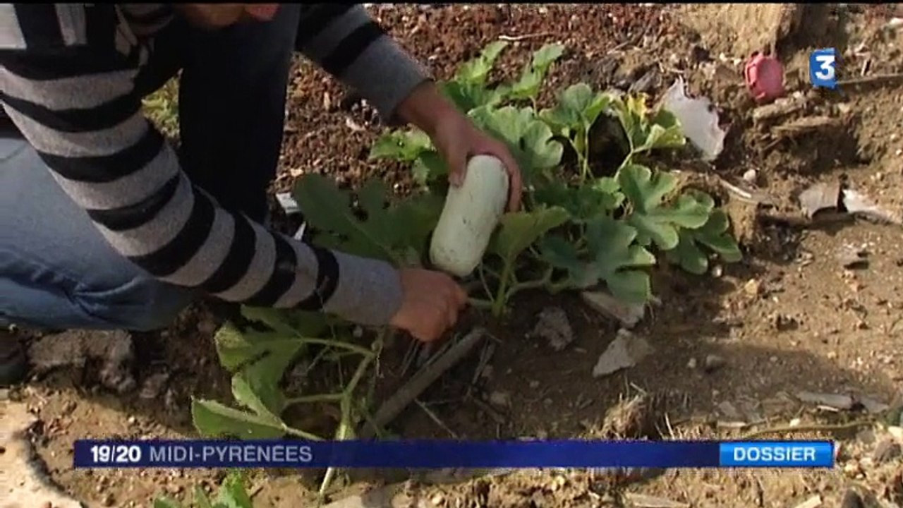 191015 JT Fr3 midi-pyrénées