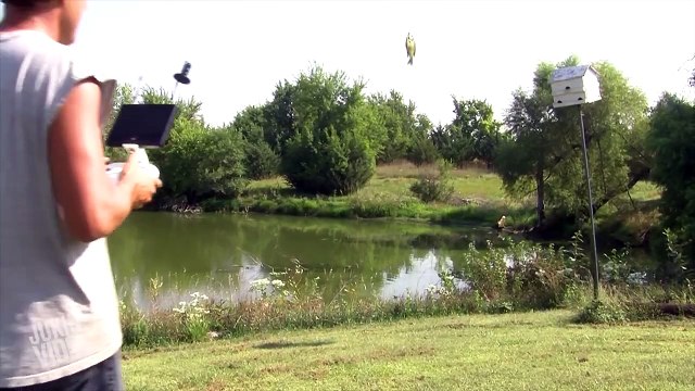 Small Stream - Big Trout