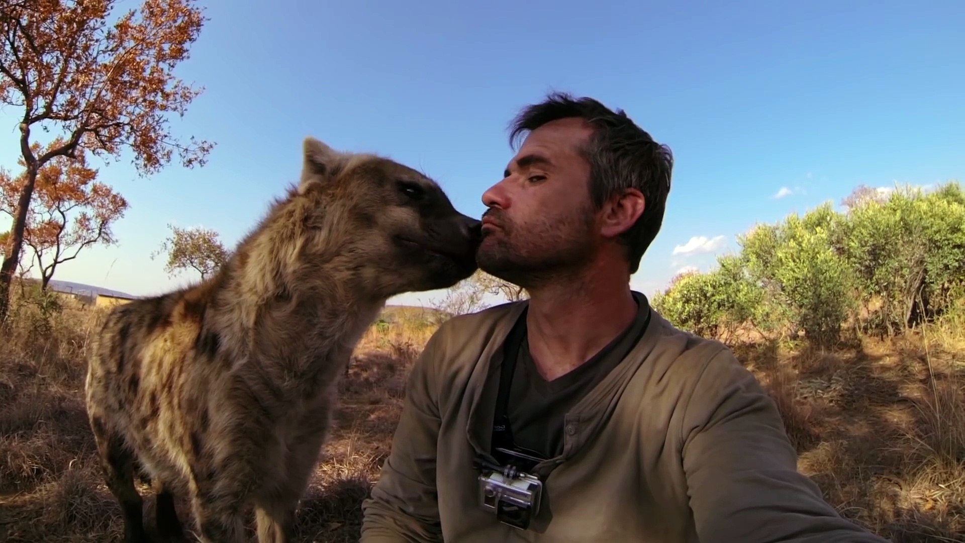 ⁣GoPro Lions - The New Endangered Species
