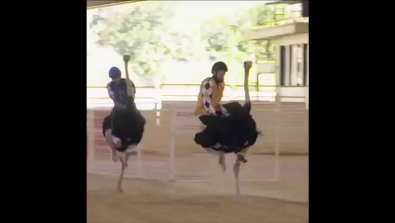 GÜLMEK GARANTİ YENİ 2015 KOMİK VİDEOLAR ( FAİL,THUG LİFE,FUNNY,EPİC)