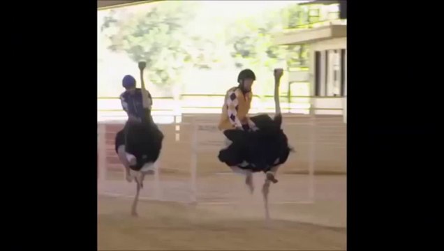 GÜLMEK GARANTİ YENİ 2015 KOMİK VİDEOLAR ( FAİL,THUG LİFE,FUNNY,EPİC)