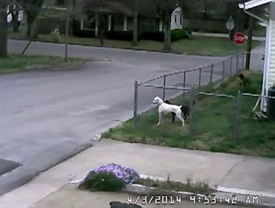 fedex delivery