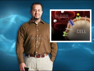 Nguoi benh roi loan mo mau khong nen an nhieu thit mo