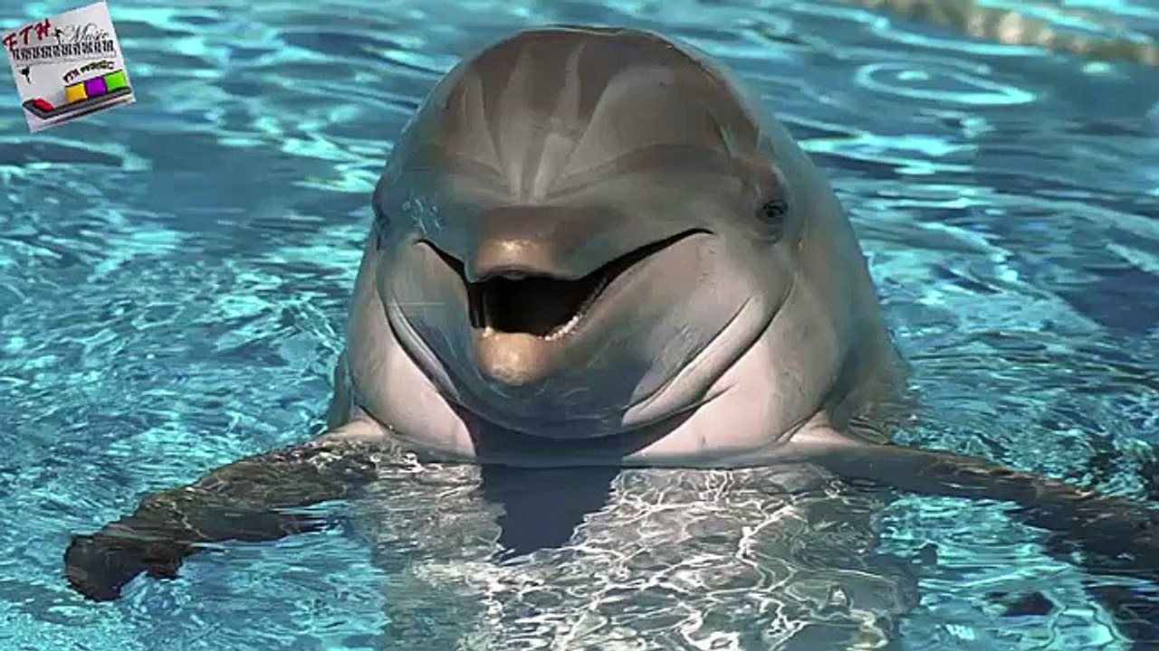 10 - ♪ ♫ ♩ ♬ Relaxing Music - uyku müziği - Study Music - Terapi müziği - doğa