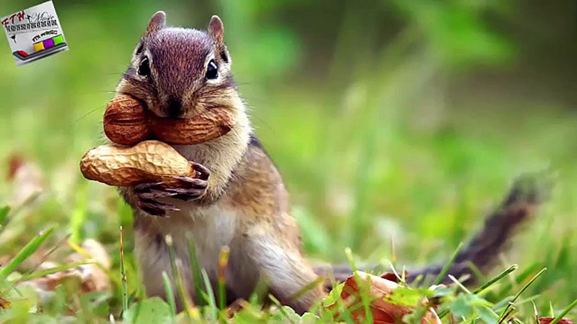 ⁣6 - ♪ ♫ ♩ ♬ Relaxing Music - Sleep Music - Study Music - Spa - Soothing Music - instrumental Music