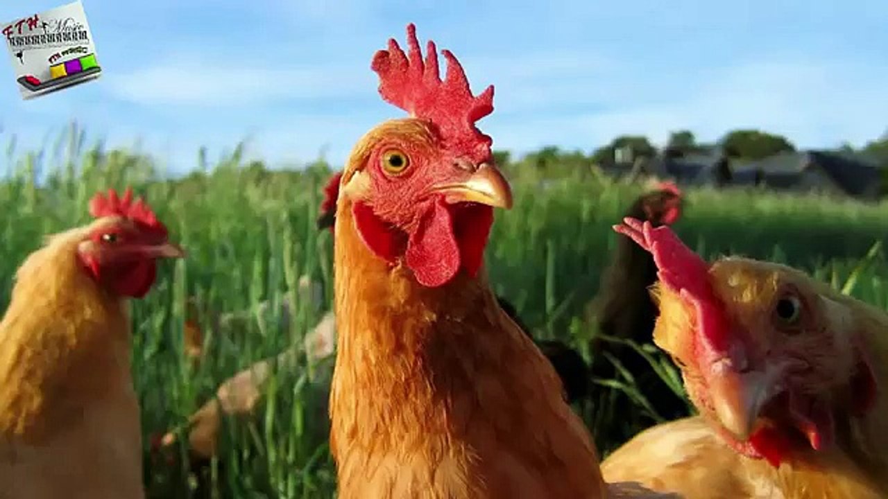 17 - ♪ ♫ ♩ ♬ Relaxing Music - Rahatlatıcı - Enstrümantal müzik - instrumental
