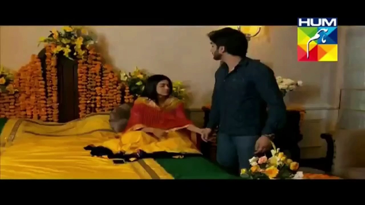 Alvida-ost-Hum-TV