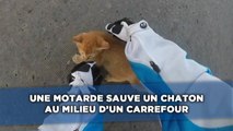 Une motarde sauve un chaton au milieu d'un carrefour