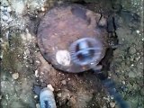 German tank manhole coversDeutsch Tank Kanaldeckel DANZIG metal detecting treasure hunting