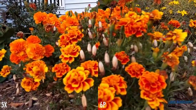 Nexus 5X vs Nexus 6P - Pocketnow