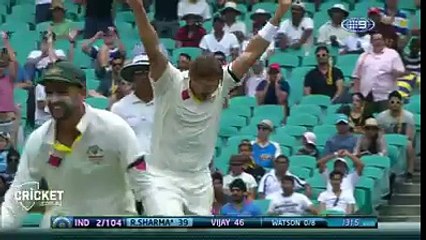 Brilliant Catch by Fielder