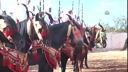 ;التبوريدة;..خيول تركض وفرسان يطلقون البارود في استعراض له تاريخ مديد