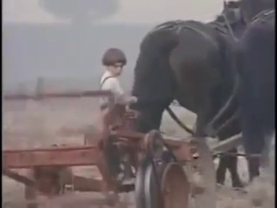 The Amish A People of Preservation