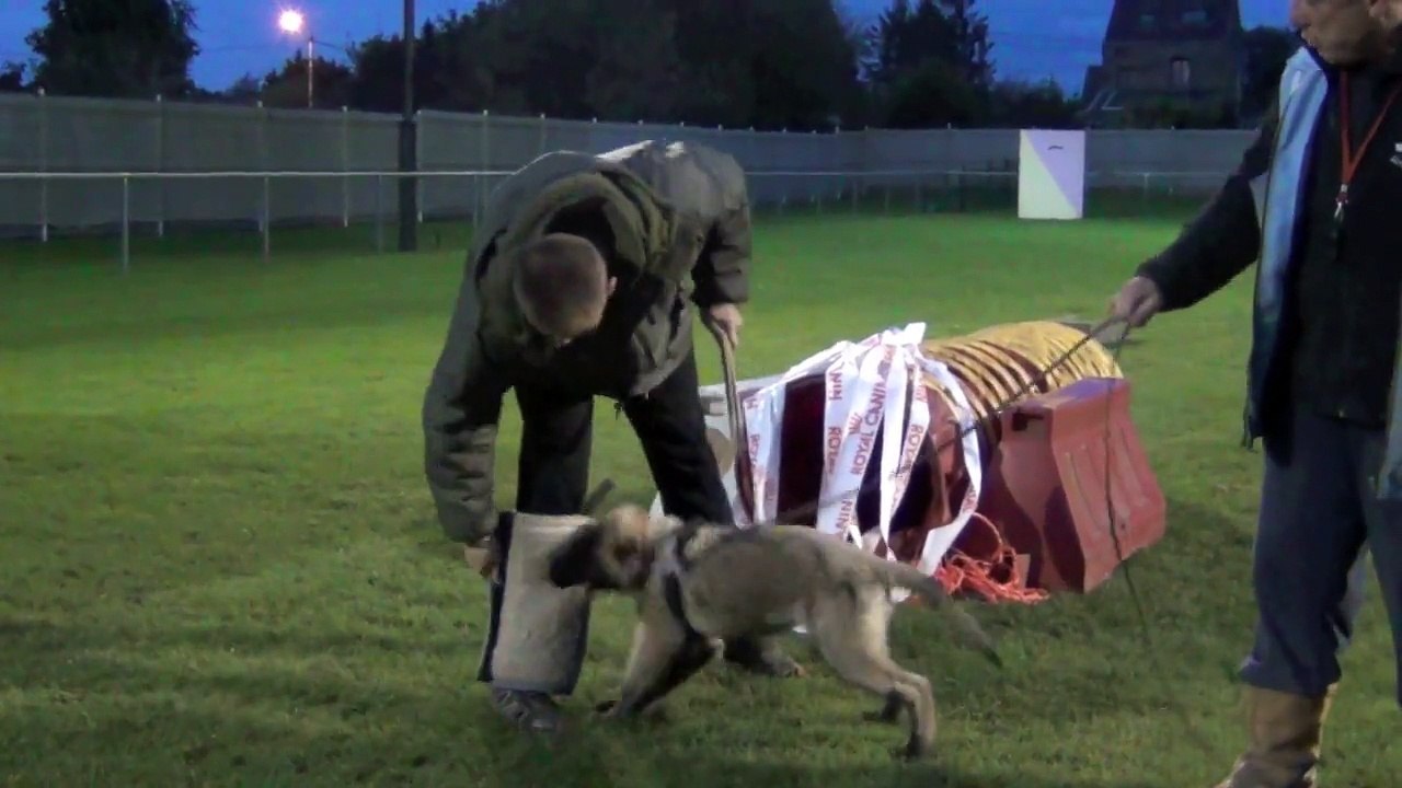 Leader de la cité des Foucault