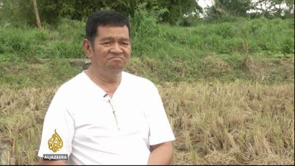 Farmers hit hard by Koppu storm in Philippines