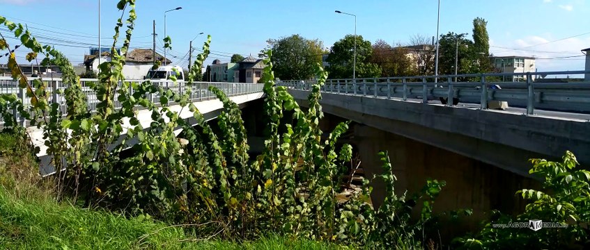 AGORA MEDIA | Podul de peste Arieş... Serios?!