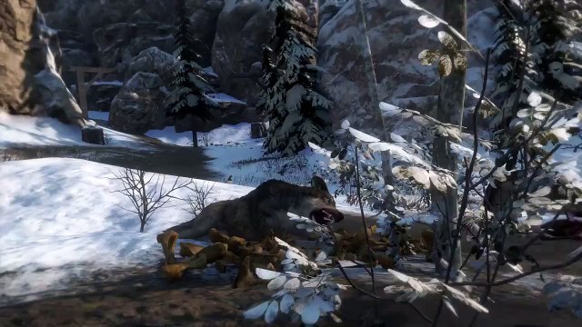 Rise of the Tomb Raider : Woman vs Wild