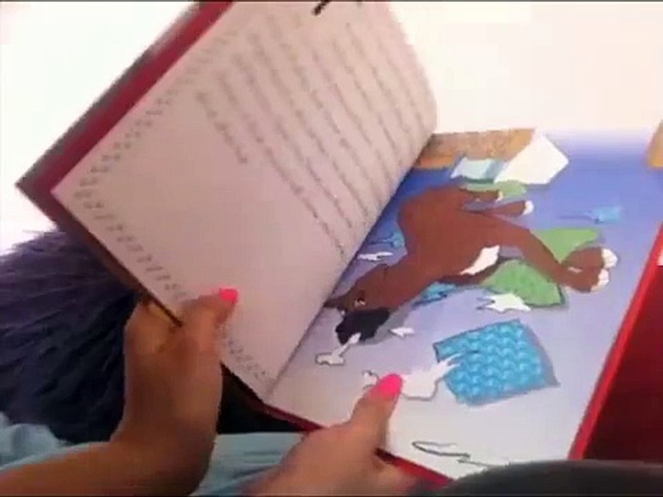 Funny Boxer Dog Childrens Book Preview The Naughty Boxer