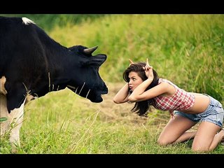 Bangla Jokes Best Jokes