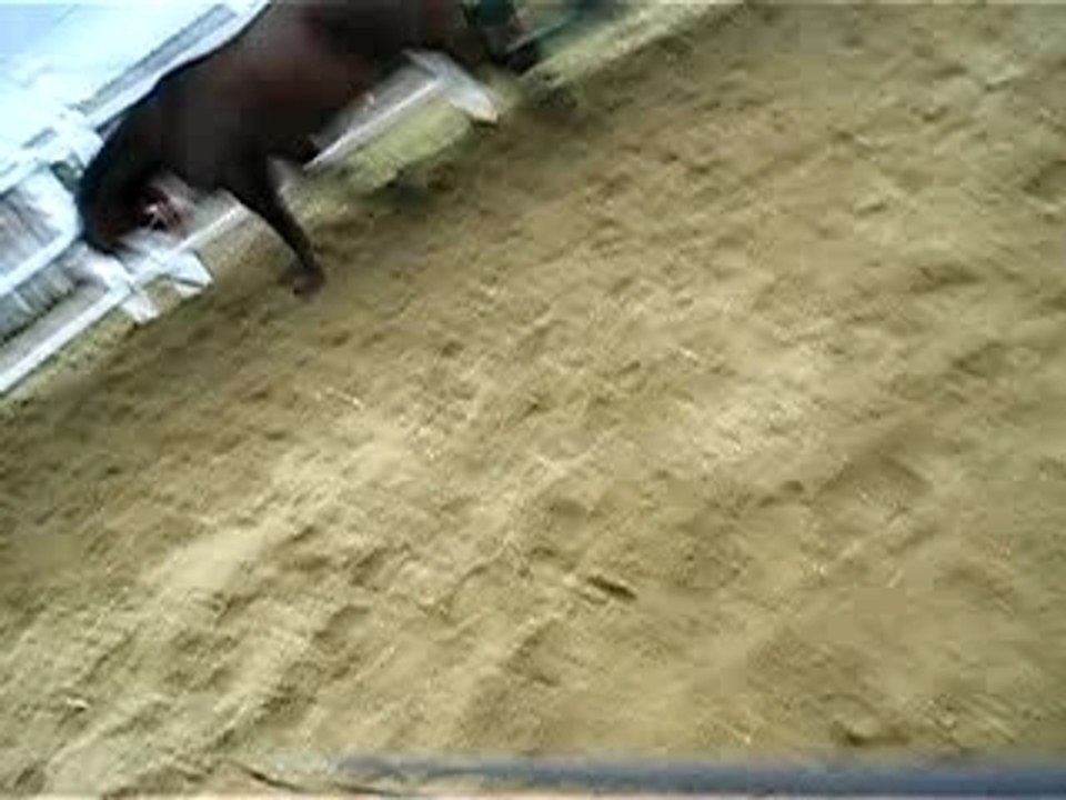 P1010002