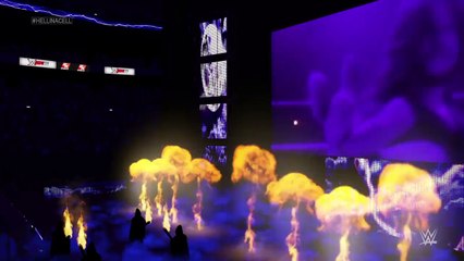 WWE Hell in a Cell Brock Lesnar vs Undertaker