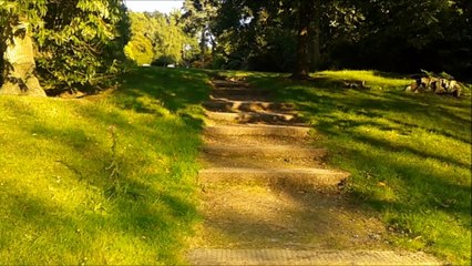 The Soundrops - Little Eternal Things