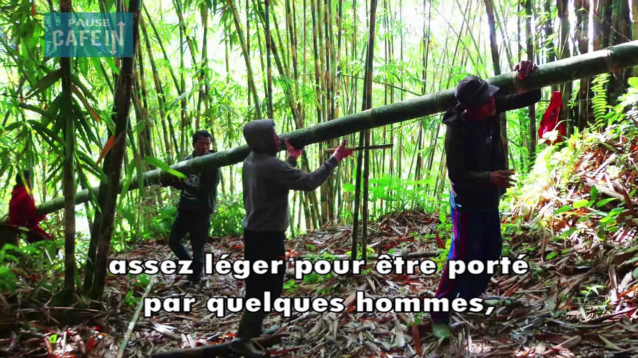 Cette femme construit des maisons durables à partir de bambou