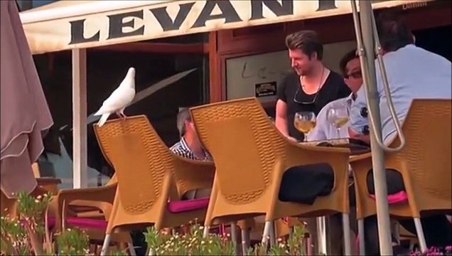 Alejandro Tous recomienda visitar Alicante