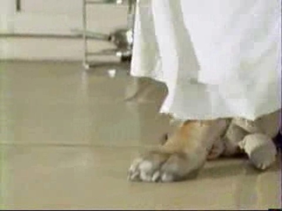 Video_Insolites_116